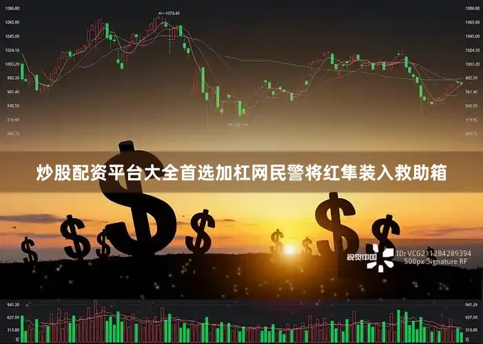 炒股配资平台大全首选加杠网民警将红隼装入救助箱