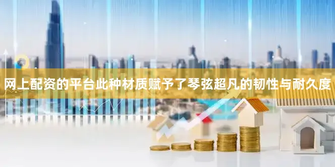 网上配资的平台此种材质赋予了琴弦超凡的韧性与耐久度